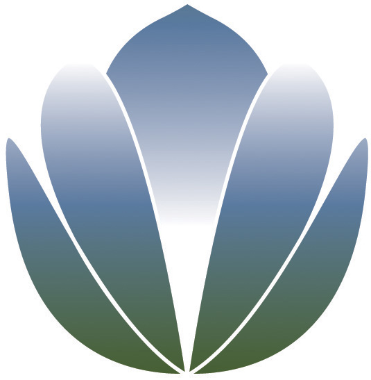 ALHC logo image only smaller