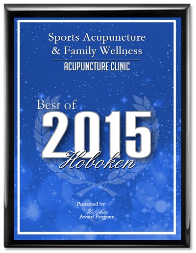 hoboken-award-plaque-2015 hoboken-award-plaque-2015